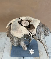 "Jesse" The root of Jesse Advent path University Hospital Dresden December 2021